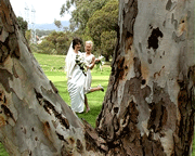 wedding video in Melbourne park